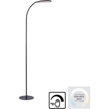 Paul Neuhaus KELLY 14406-18 Stehleuchte 1x10W/LED 3000-6000k 1180lm ip20