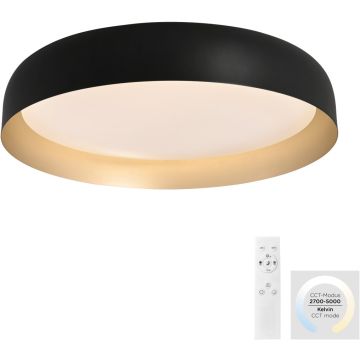 Paul Neuhaus OSKO 14216-18 Deckenlampe 1x40W/LED 2700-5000k 3850lm ip20