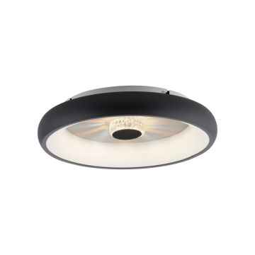 Paul Neuhaus VERTIGO 14384-18 Deckenlampe 1x29W/LED 2700-5000k 1185lm ip20