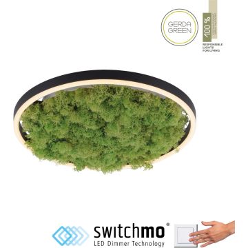 Paul Neuhaus GREEN RITUS 15391-66 Deckenlampe 1x20W/LED 3000k 630lm ip20