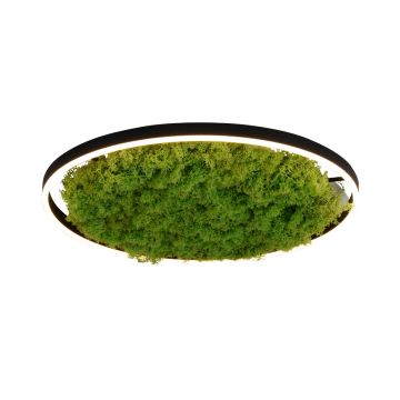 Paul Neuhaus GREEN RITUS 15392-66 Deckenlampe 1x28W/LED 3000k 960lm ip20