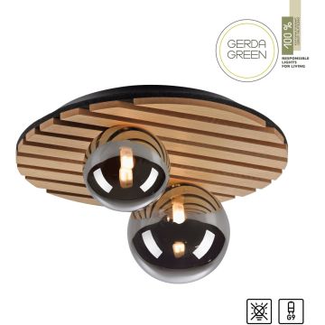 Paul Neuhaus GREEN STIKA 15208-79 Deckenlampe 2x5W/G9 ip20