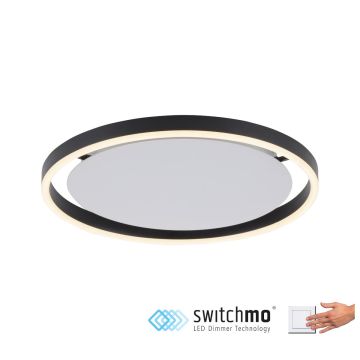 Paul Neuhaus RITUS 15391-13 Deckenleuchte 1x20W/LED 3000K 800LM IP20