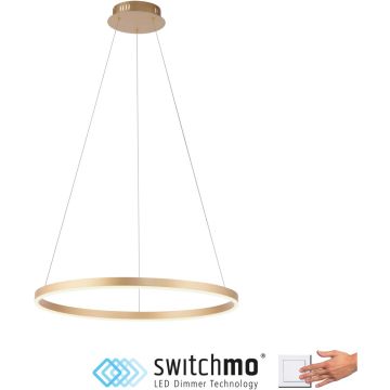 Paul Neuhaus RITUS 15394-60 Pendelleuchte 1x31,5W/LED 3000k 3650lm ip20