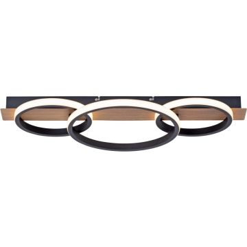 Paul Neuhaus TROOPER 15616-78 Deckenlampe 1x41W/LED 3000k 4600lm ip20