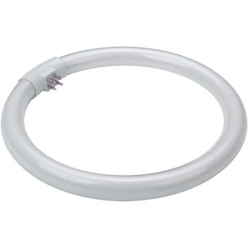 Prezent OTHERS BULBS 17007 TUBE Glühbirne 28w/t5