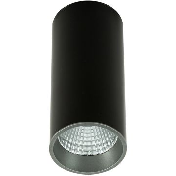 Italux Moldes Big BL/GR Celing 3000K SLC7392/12W 3000K BL+GR Aufbau-Downlight 1x12W/LED 3000K 820lm IP20