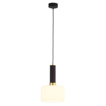 Jupiter VANES 1852 Pendelleuchte 1x15W/E27 IP20