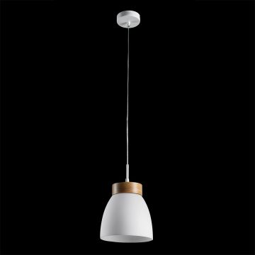 Prezent FOCUS 18068 Pendelleuchte 1x40W/E27 IP20