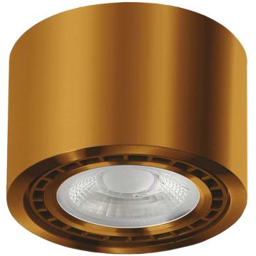 AZzardo ECO ALIX AZ3496 Aufbau-Downlight 1x35W/GU10/ES111 IP20