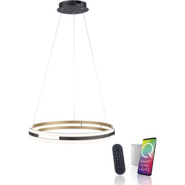 Paul Neuhaus Q-BELUGA 2051-60 Pendelleuchte 1x62W/LED 2700-5000k 6900lm ip20
