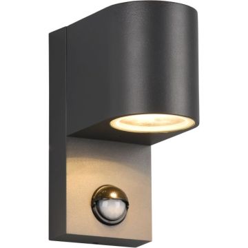 Trio ROYA 214260142 Wandleuchte 1x35w/gu10 ip44