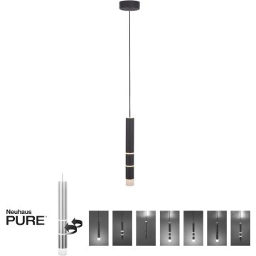 Paul Neuhaus PURE-VEGA 2211-18 Pendelleuchte 4x4,5W/LED 2700-5000k 440lm ip20