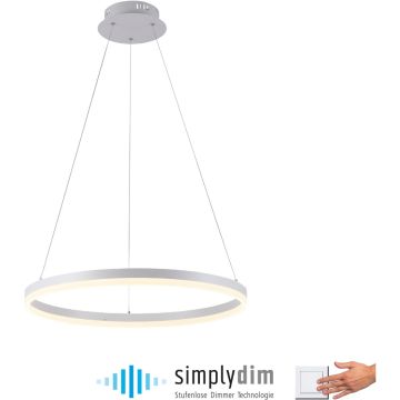 Paul Neuhaus TITUS 2382-16 Pendelleuchte 1x44W/LED 3000k 5250lm ip20
