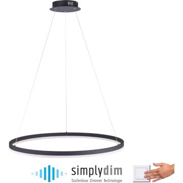 Paul Neuhaus TITUS 2383-13 Pendelleuchte 1x61W/LED ip20