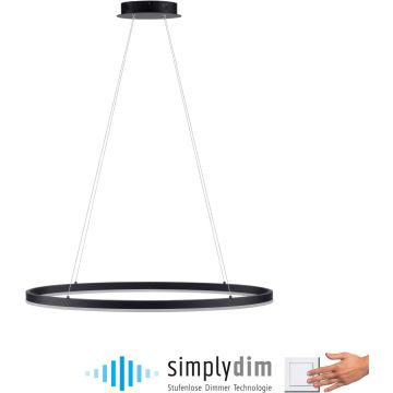 Paul Neuhaus TITUS 2392-13 Pendelleuchte 1x38W/LED 3000k 1800lm ip20
