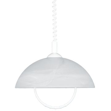 Prezent ALBERT 23068 Pendelleuchte 1x60W/E27 IP20