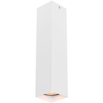 Italux Ander CLN-28394-L-WH Aufbau-Downlight 1x10W/GU10 IP20