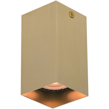 Italux Ander CLN-28394-S-GD Aufbau-Downlight 1x10W/GU10 IP20