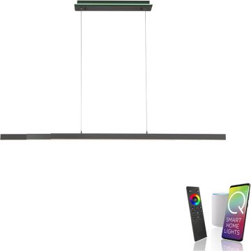 Paul Neuhaus Q-ARIAN 2569-13 Pendelleuchte 4x55W/LED 2700-5000k 5520lm ip20