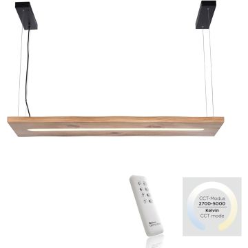 Paul Neuhaus PALMA 2625-79 Pendelleuchte 1x27W/LED 2700-5000k 2750lm ip20