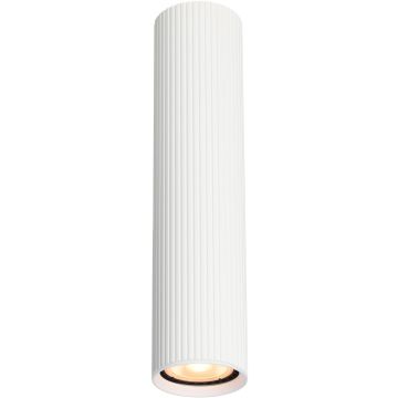 Italux Rilok CLN-83920-L-WH Aufbau-Downlight 1x10W/GU10 IP20