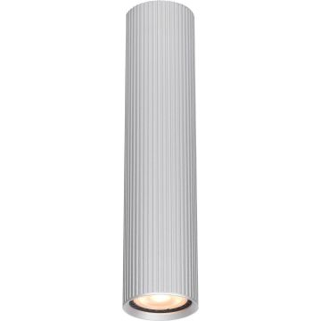 Italux Rilok CLN-83920-M-ALU Aufbau-Downlight 1x10W/GU10 IP20