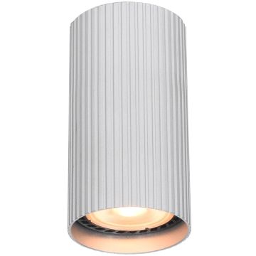 Italux Rilok CLN-83920-S-ALU Aufbau-Downlight 1x10W/GU10 IP20