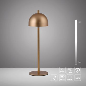 Paul Neuhaus BELLIS 19244-12 Tischleuchte 1x2,5W/LED 3000k 210lm ip54