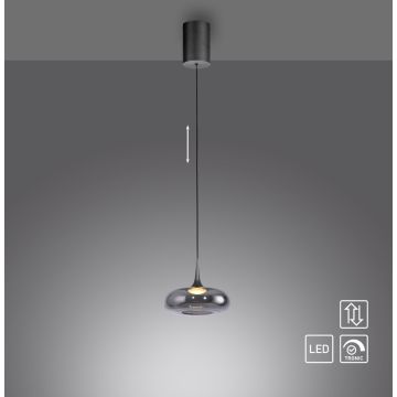Paul Neuhaus POSH 15692-15 Pendelleuchte 1x7,4W/LED 3000k 300lm ip20