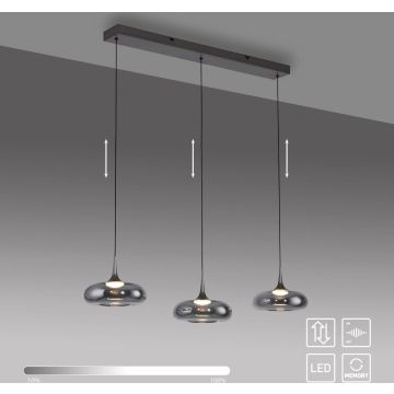 Paul Neuhaus POSH 15693-15 Pendelleuchte 3x6,3W/LED 3000k 1000lm ip20