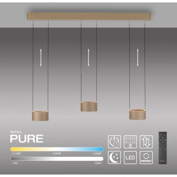 Paul Neuhaus PURE CLIPSE 2473-97 Pendelleuchte 6x5W/LED 2200-5000k 670lm ip20