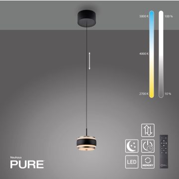 Paul Neuhaus PURE FALLING RINGS 2503-18 Pendelleuchte 1x8W/LED 2200-5000k 310lm ip20
