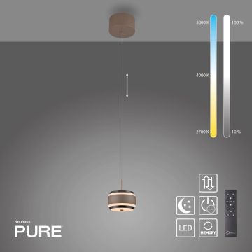 Paul Neuhaus PURE FALLING RINGS 2503-97 Pendelleuchte 1x8W/LED 2200-5000k 310lm ip20