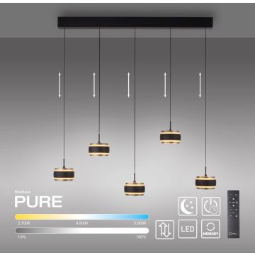 Paul Neuhaus PURE FALLING RINGS 2504-18 Pendelleuchte 5x8W/LED 2200-5000k 1500lm ip20