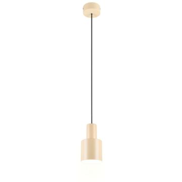 Trio AGUDO 319400144 Pendelleuchte 1x10w/e27 ip20