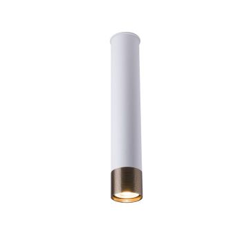 Antigo Eido 8251 Aufbau-Downlight 1x10W/GU10 IP20