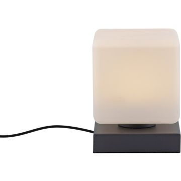 Paul Neuhaus DADOA 4036-13 Tischleuchte 1x7W/LED 3000k 580lm ip20