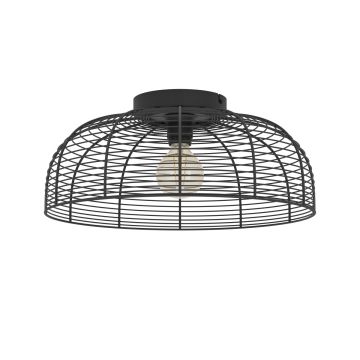 Eglo RINROE 43896 Deckenlampe 1x40W/E27 ip20