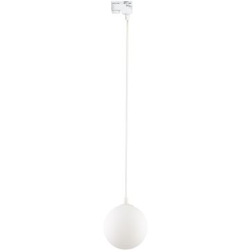 TK Lighting TRACER 4886 Schienenstrahler 1x8W/G9 IP20