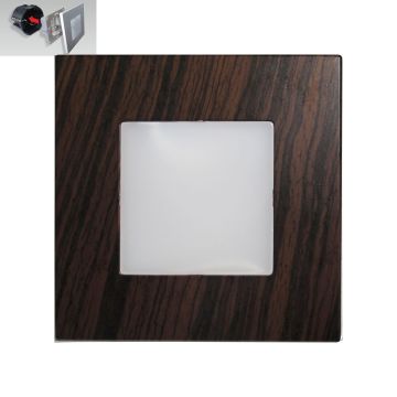 Prezent STEP LIGHT 48306 Einbau-Treppenleuchte 1x1W/LED 60lm IP20