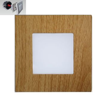 Prezent STEP LIGHT 48307 Einbau-Treppenleuchte 1x1W/LED 60lm IP20