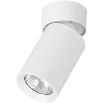 Alfa FLEX 59026 Aufbau-Downlight 1x10W/GU10