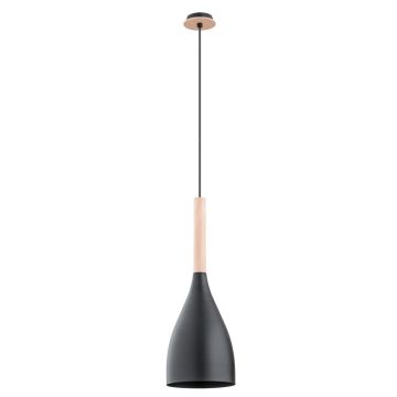 Alfa JUICE 60722 Pendelleuchte 1x60W/E27 IP20