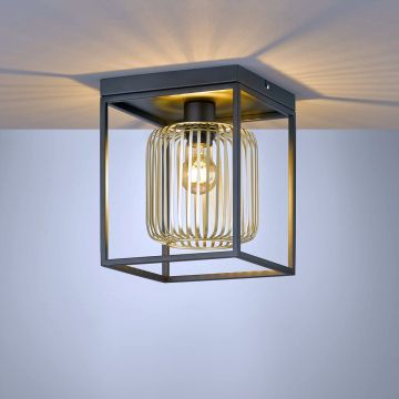 Fischer&Honsel Caydo 21294 Deckenlampe 1x40W/E27 IP20