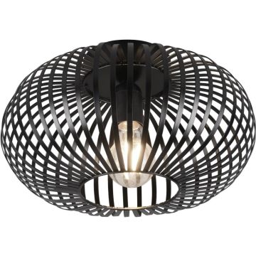 Trio JOHANN 606903032 Deckenlampe 1x60w/e27 ip20