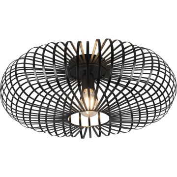 Trio JOHANN 606905032 Deckenlampe 1x60w/e27 ip20