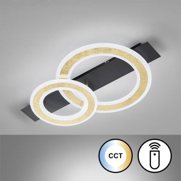 Fischer&Honsel Circle 21433 Deckenleuchte 1x20W/LED 2700K 3100 lm IP20