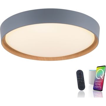Paul Neuhaus Q-EMILIA 6118-15 Deckenlampe 1x40W/LED 2700-5000k 3720lm ip20