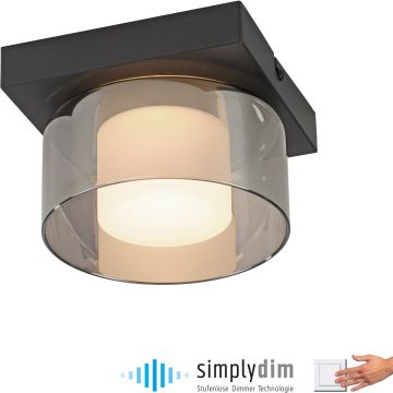 Paul Neuhaus RIKA 6162-18 Deckenlampe 1x6W/LED 3000k 680lm ip20